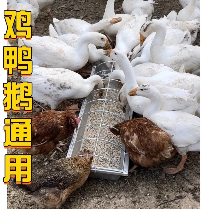 喂鸡神器喂料器鸡鸭鹅料槽 不锈钢加厚满焊长方形饲料 家禽喂料槽