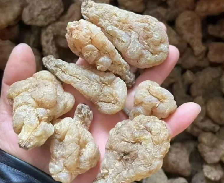 阿布家干货玉精灵500克