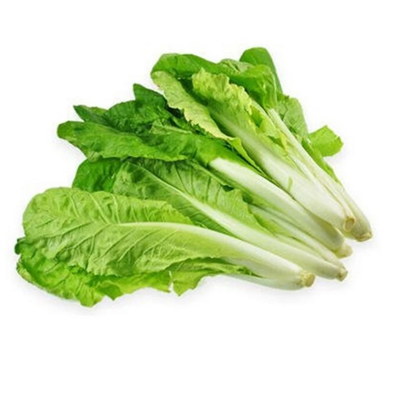 快菜鲜三颗（约1斤）