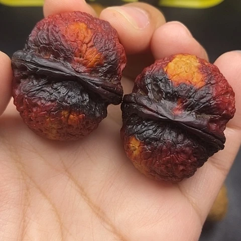 文玩核桃把件40尺元宝