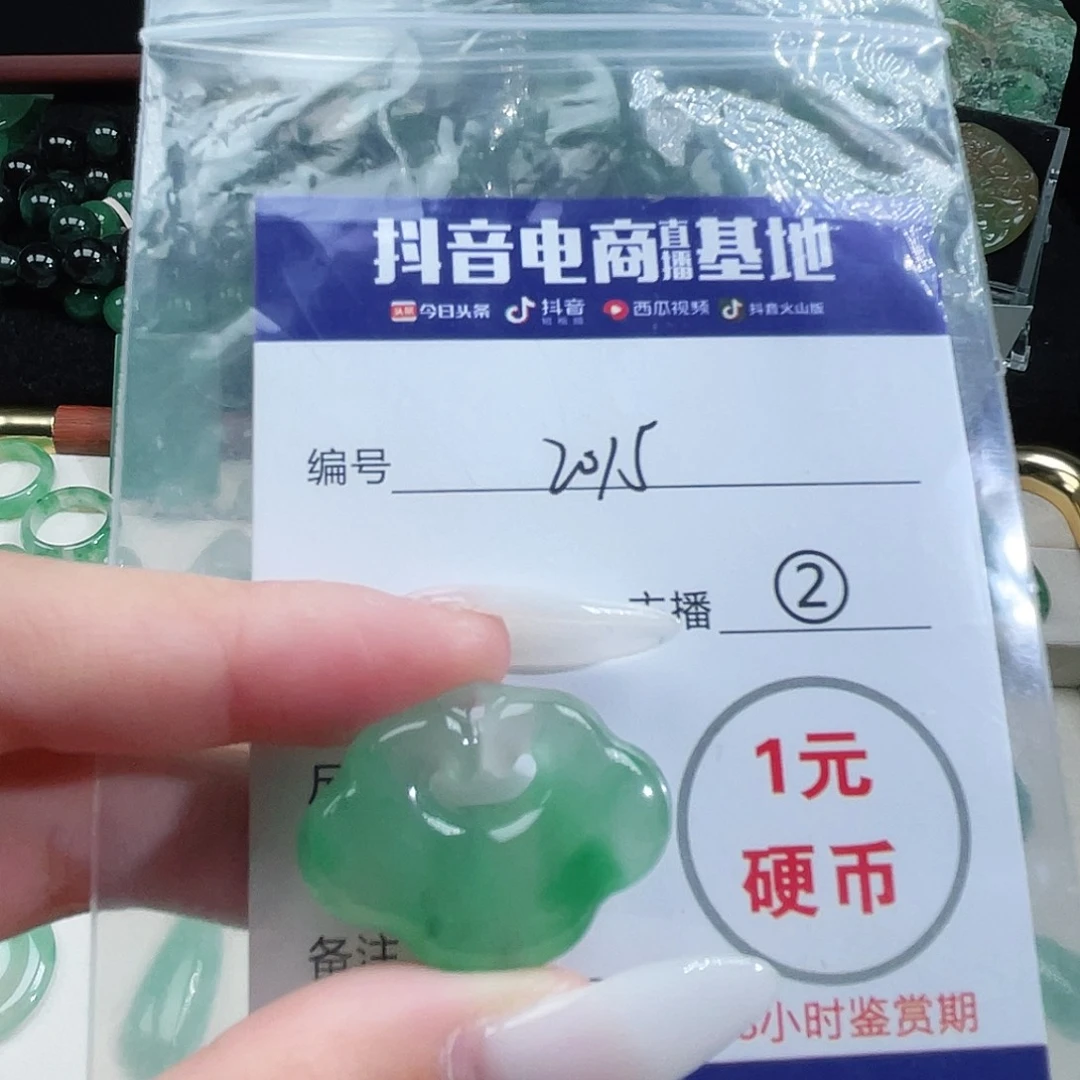 石英质玉未镶嵌颈饰