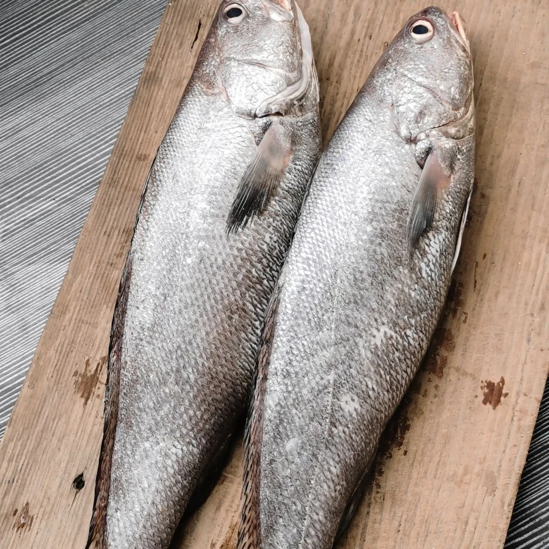 【京东冷链】新鲜鳘鱼去头去内脏速冻发货一斤5-7条肉质鲜嫩