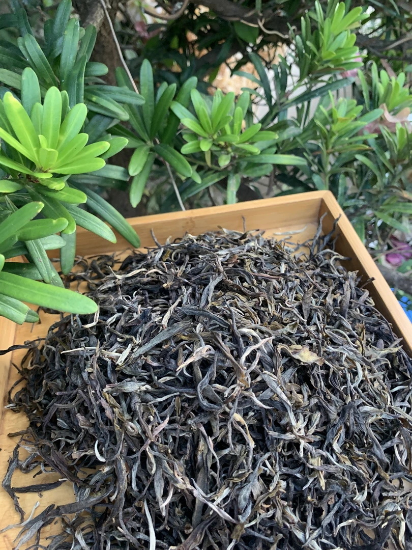 2023【大单珠】生茶散茶