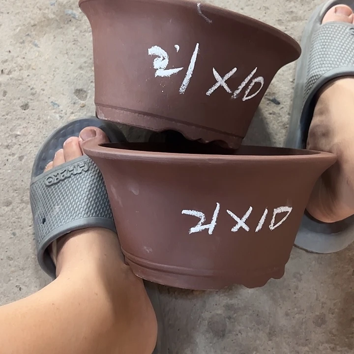 紫砂艺术学院美术