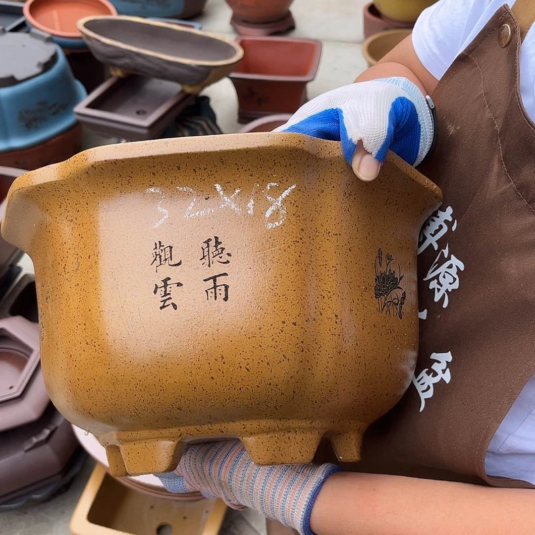 紫砂花盆盆景艺术