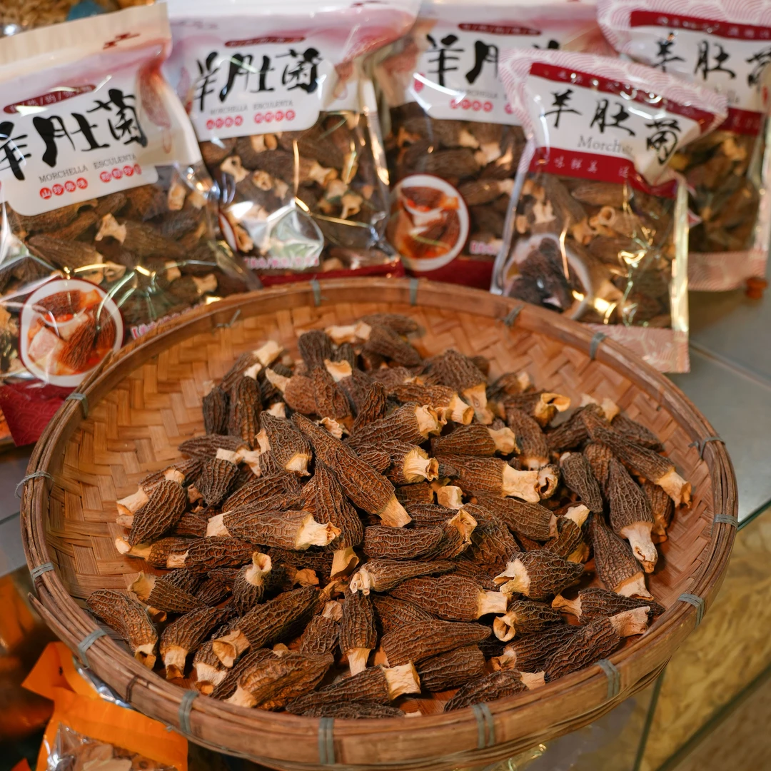 精选7—8云南高山羊肚菌干货营养丰富香味足适合炖汤滋补农家食材