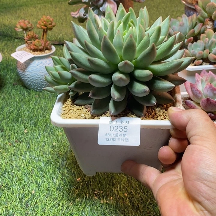 0235啊啊啊啊啊啊啊啊啊