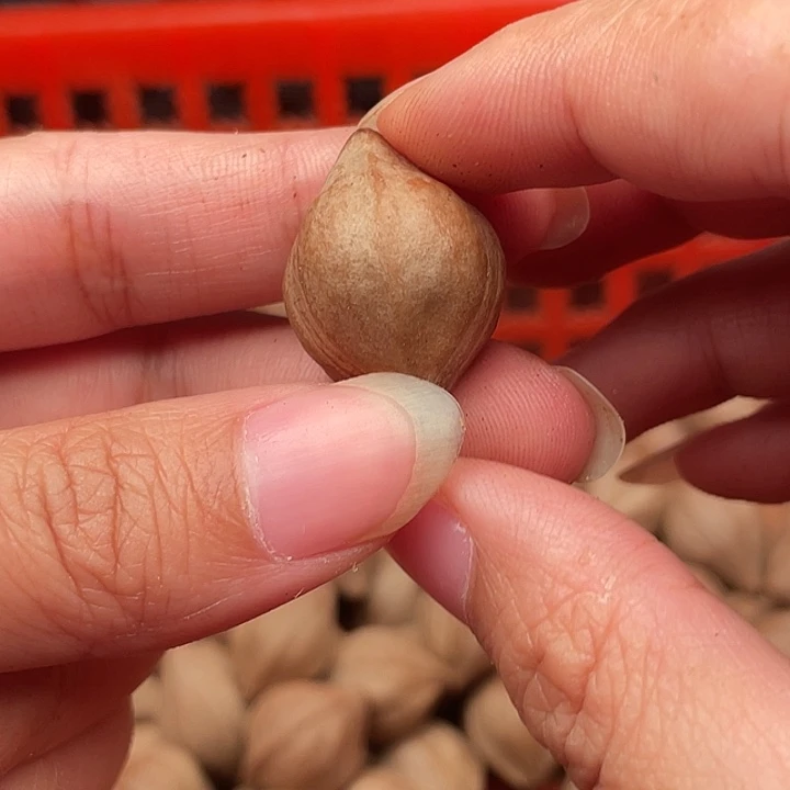 橄榄核手串/手链勇*橄榄