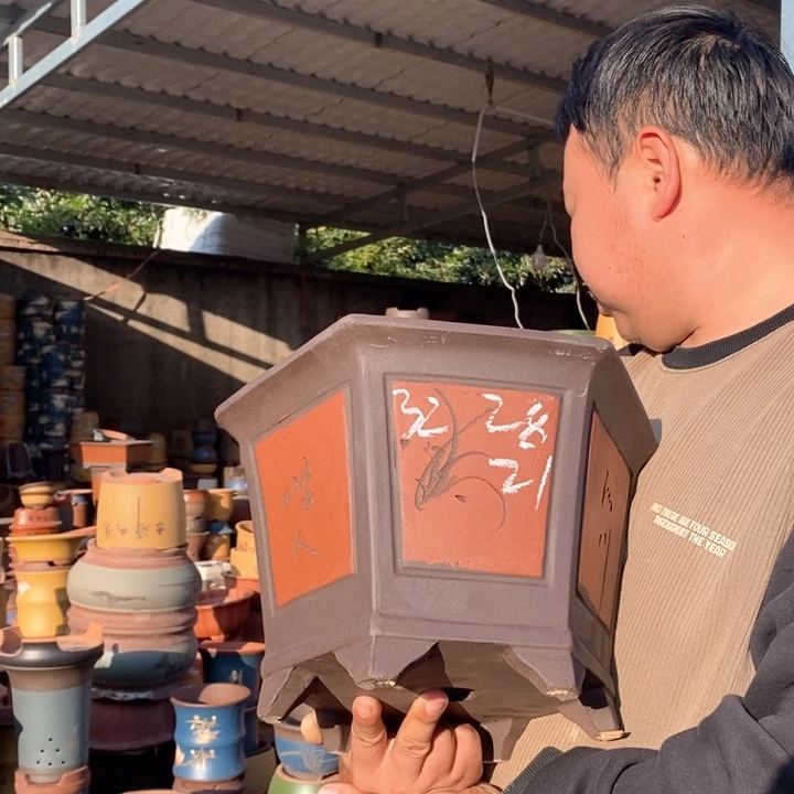 紫砂花盆盆栽花卉苗木种植