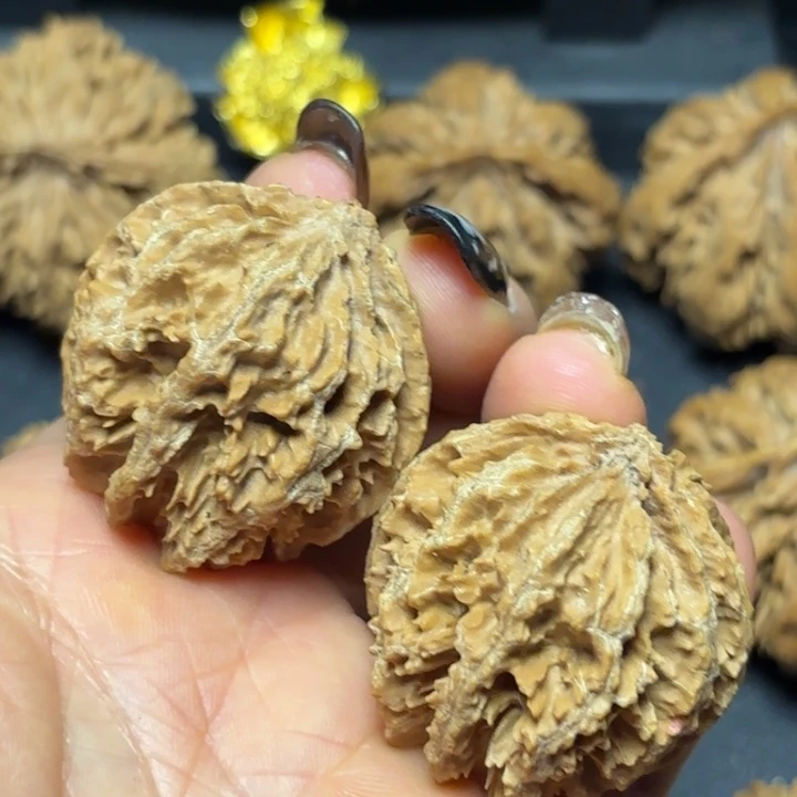蔡****文玩核桃吊坠秦岭灯笼22