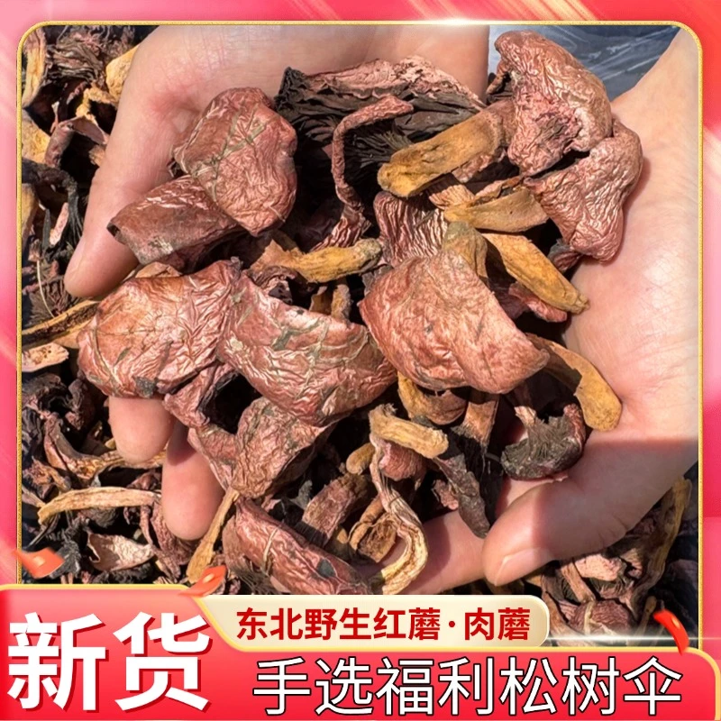 【手选福利红蘑】新货东北野生松树伞蘑菇豆红松伞松蘑鸡心蘑肉蘑