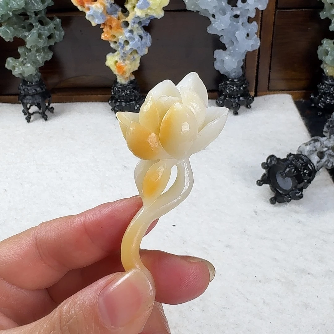 老挝石老挝石荷花