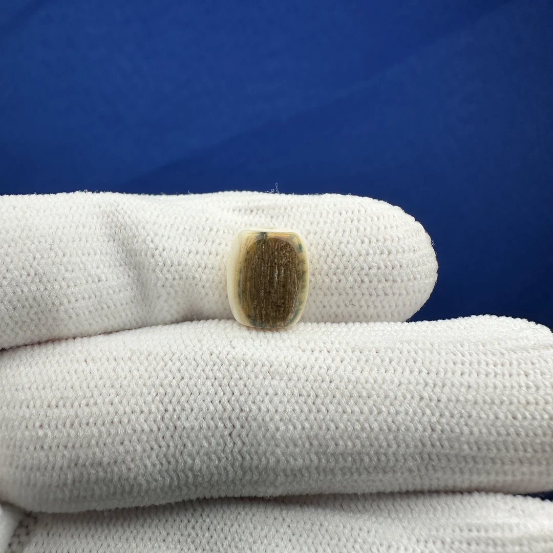 G1410天然猛犸 蓝眼睛老型桶珠9*11mm一物一图支持鉴定假一罚十