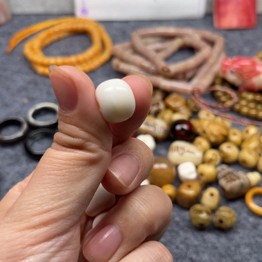 鹿骨其他人工养殖驼骨85