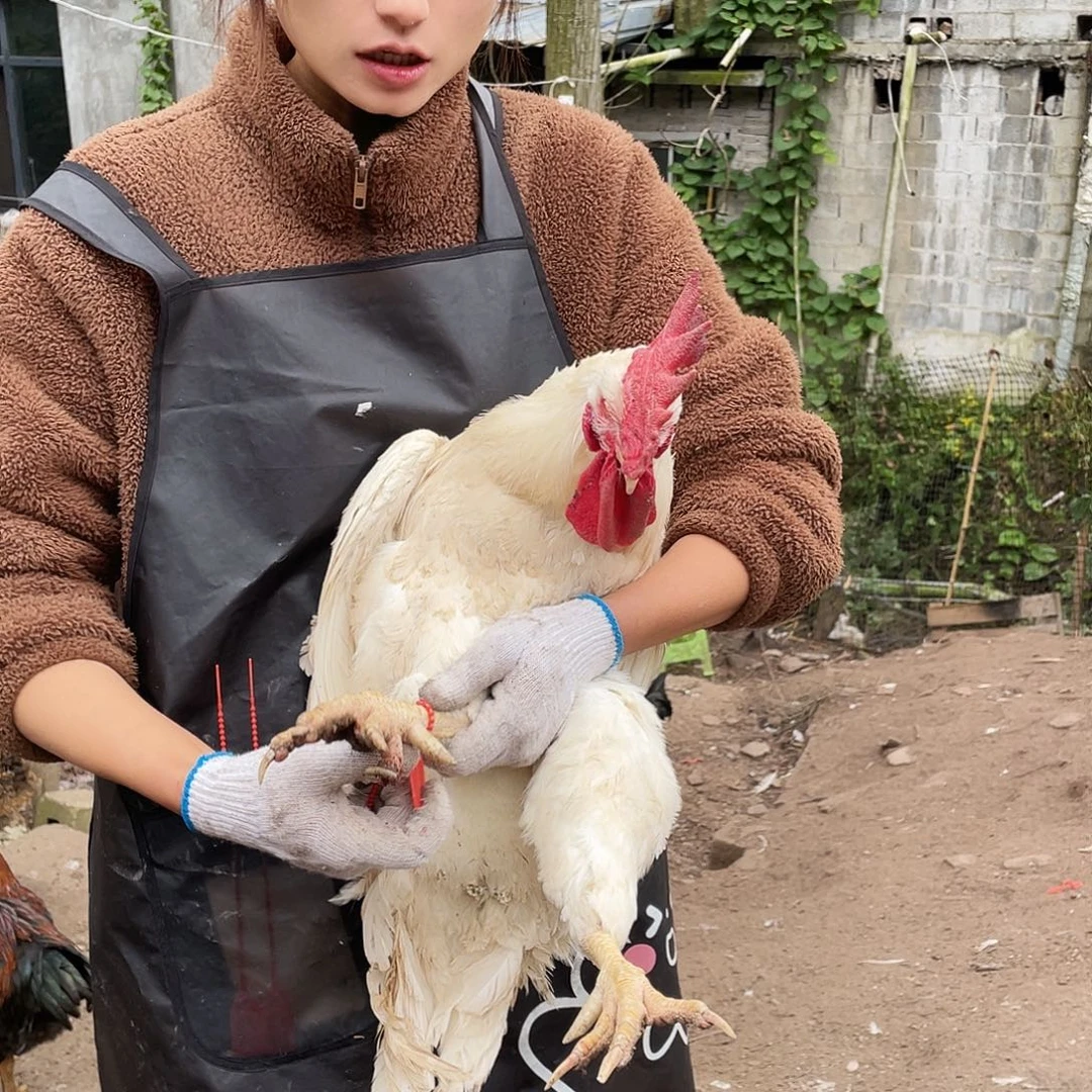 211111111中国大陆包装138号