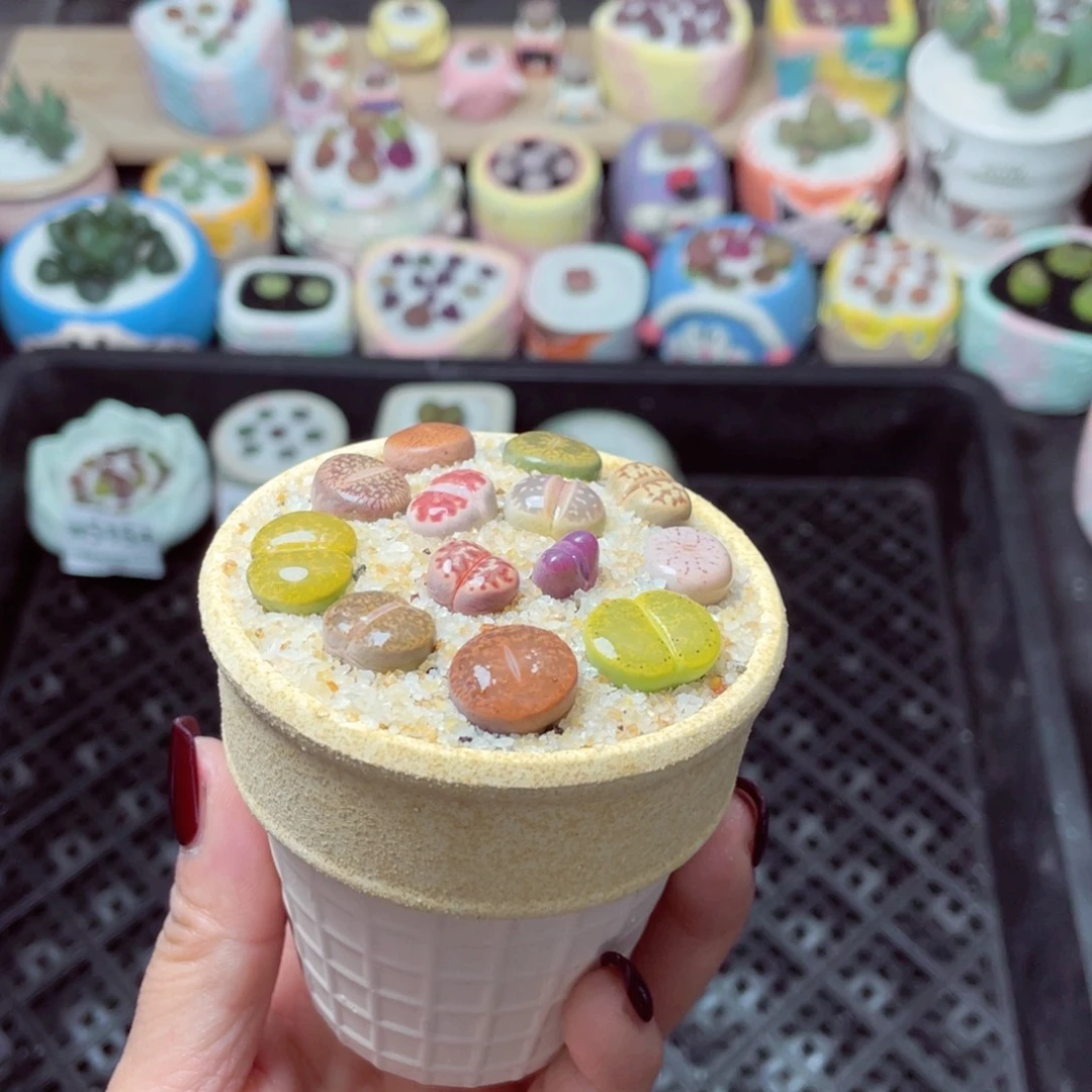 w5158 -零下地区拍保温箱-15支持寄养