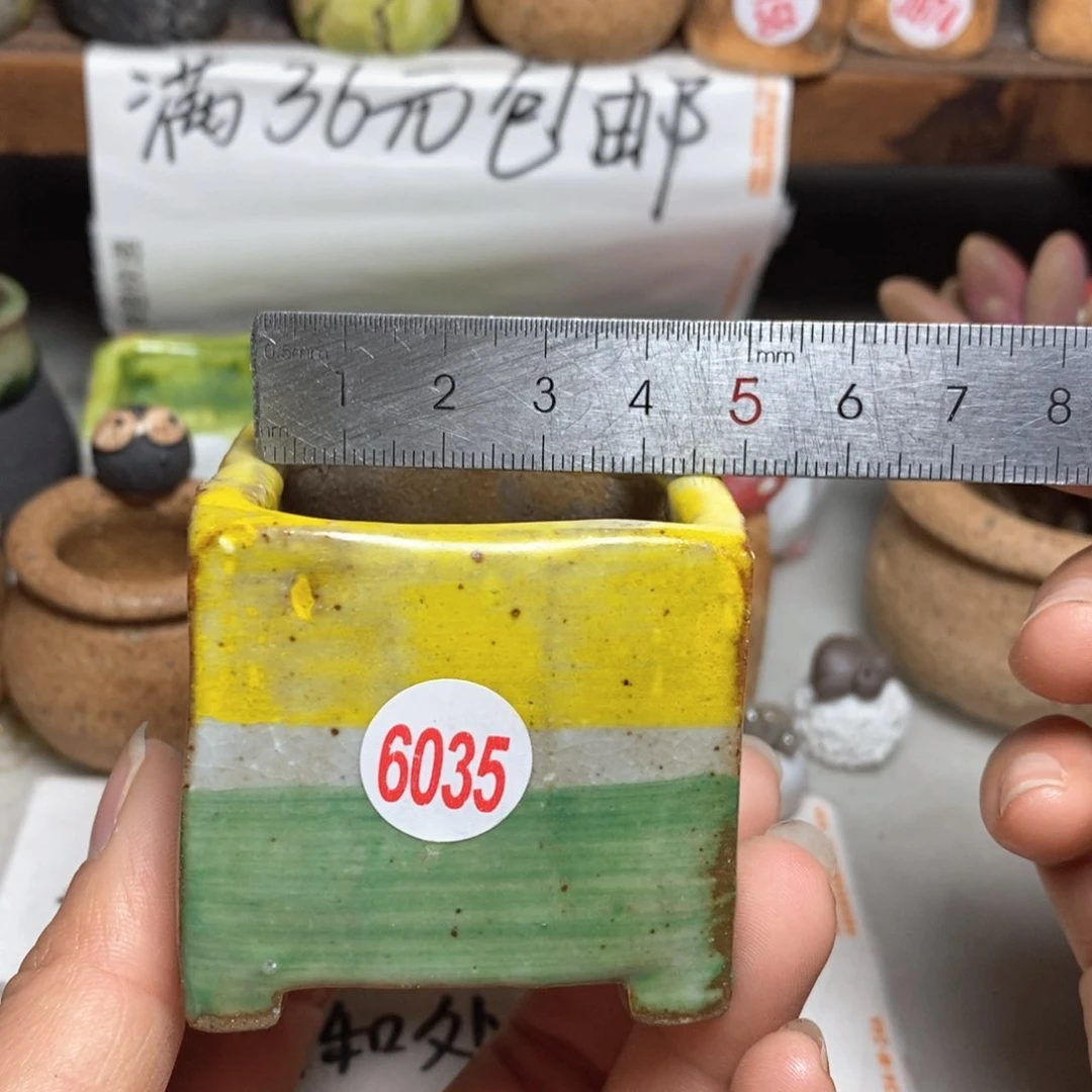 红陶拍5送一个小