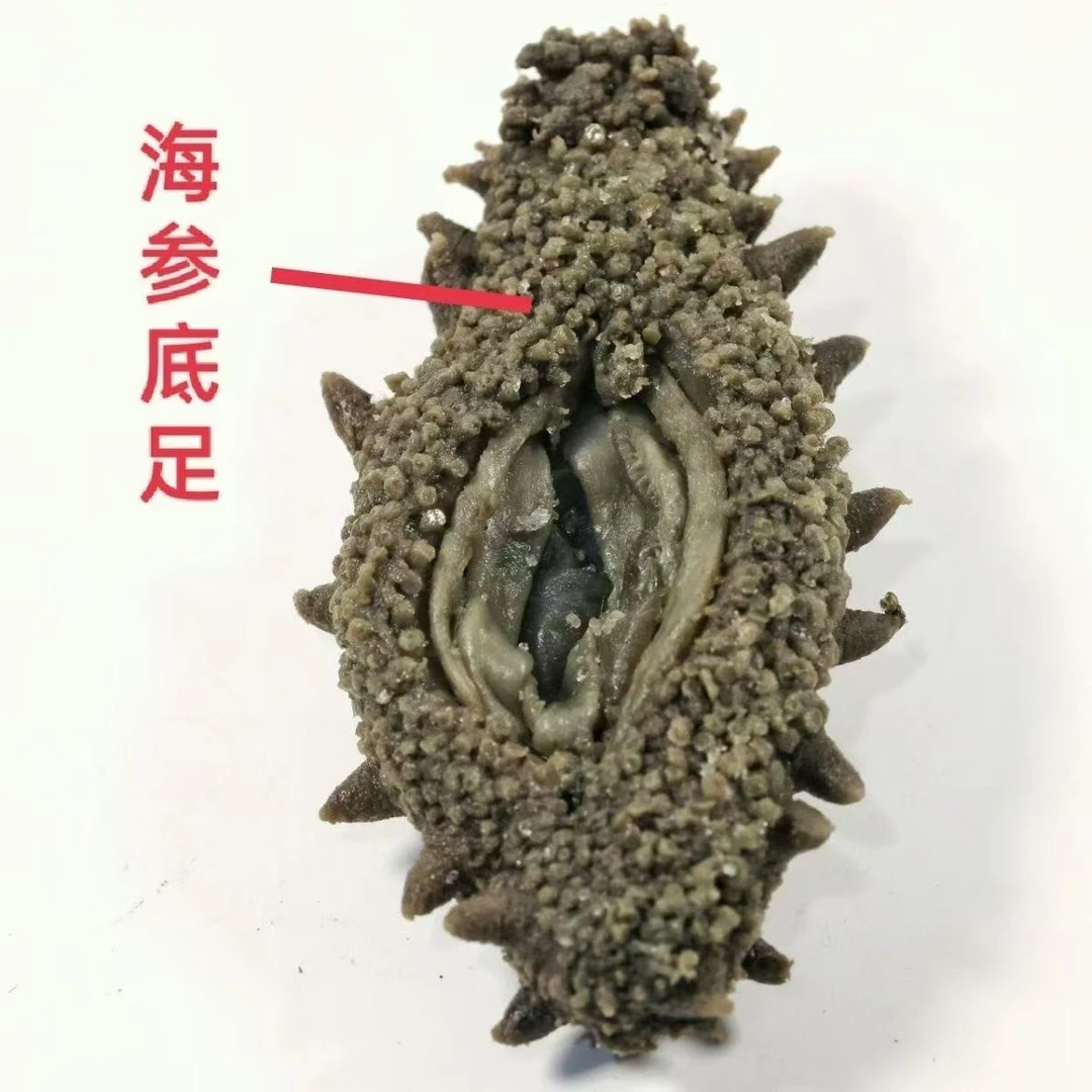 大火拉缸盐海参盐渍海参半干海参养身海参15-30头左右/500g无添加