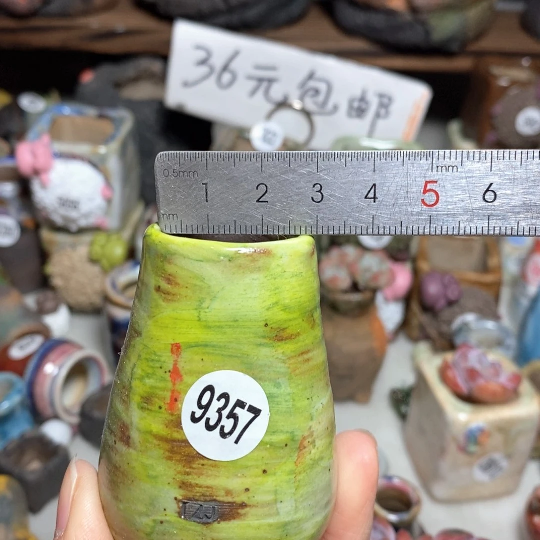 拍5送一个小礼物