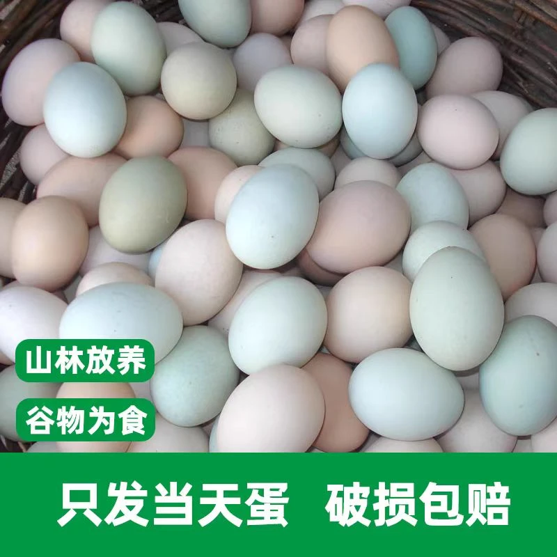 ［直播现收］土鸡蛋 农户散养 无抗生素无激素