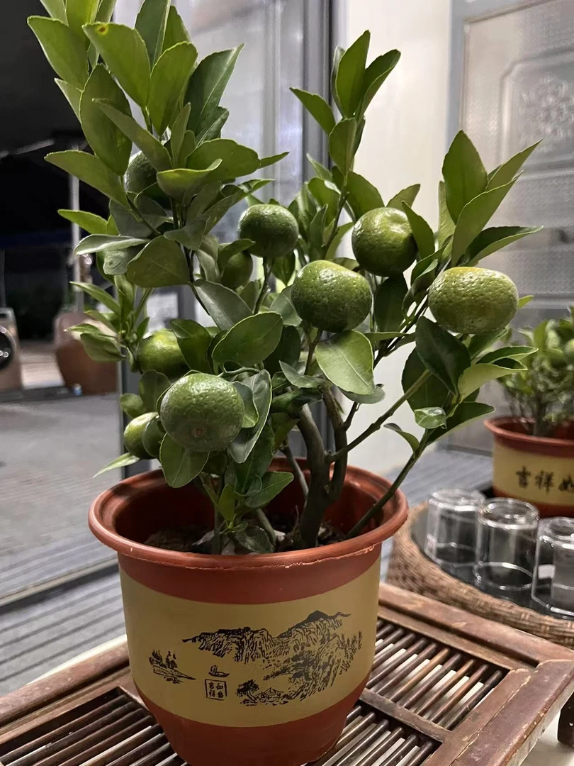 一物一拍 包邮到家