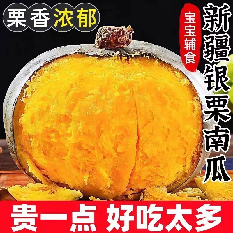 【新疆发货】沙漠银栗南瓜  粉糯香甜 现摘现发5斤