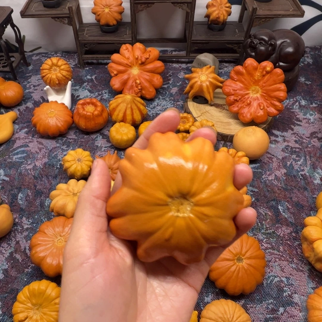 墨西哥葫芦俏色花花