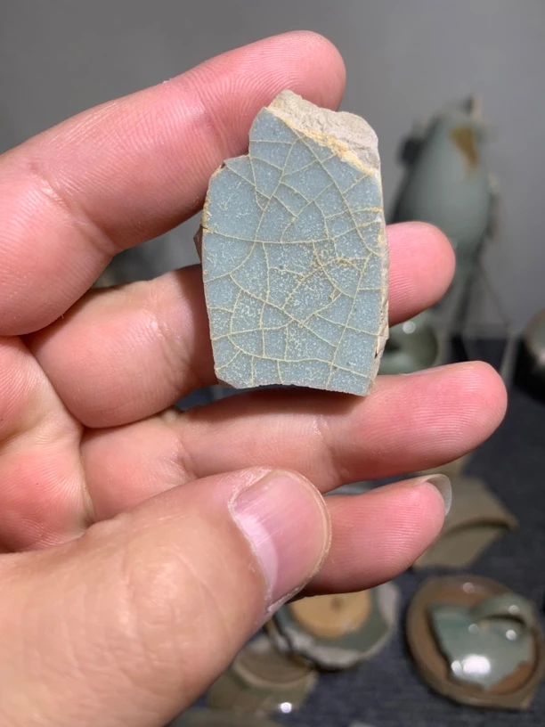 龙泉窑，残片标本