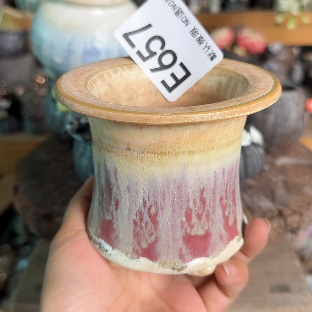 重庆小燕子欢迎大家657