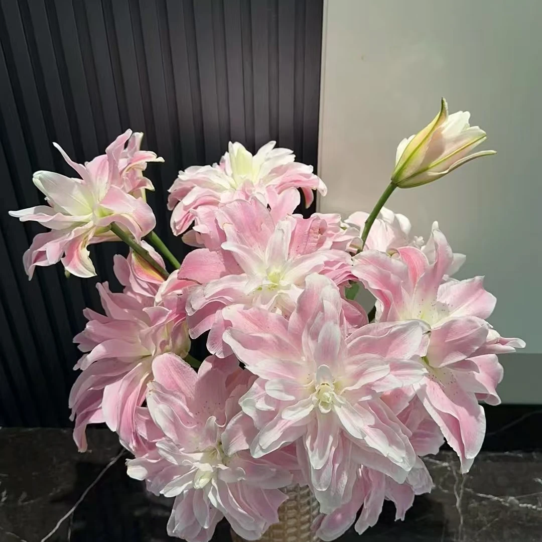 莲花雅致【重瓣香水百合】【不拍保温棉不售后】