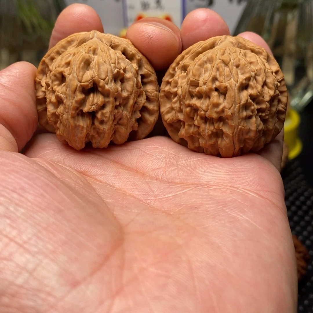 文玩核桃把件全品白狮子40