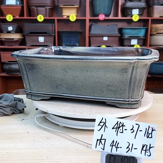 红陶悟**争紫砂花盆里放的