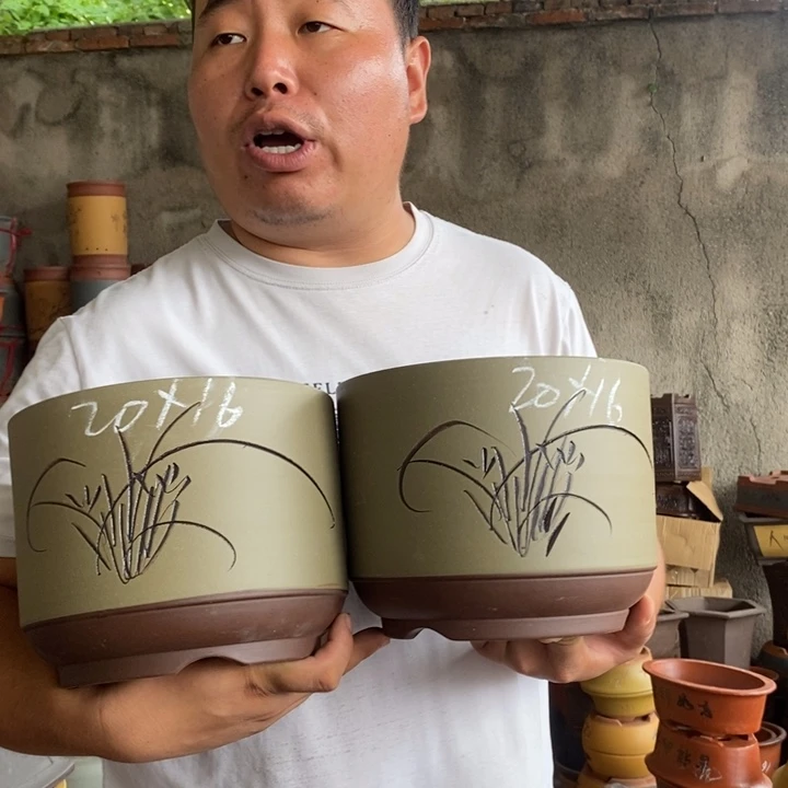 紫砂花盆盆栽花卉苗木