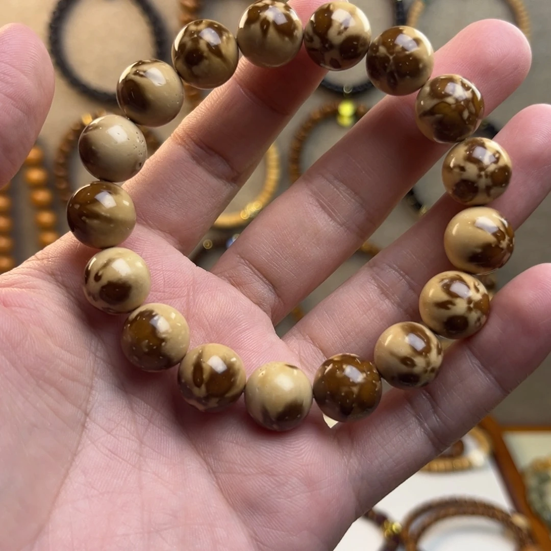 手串菩提根/象牙果