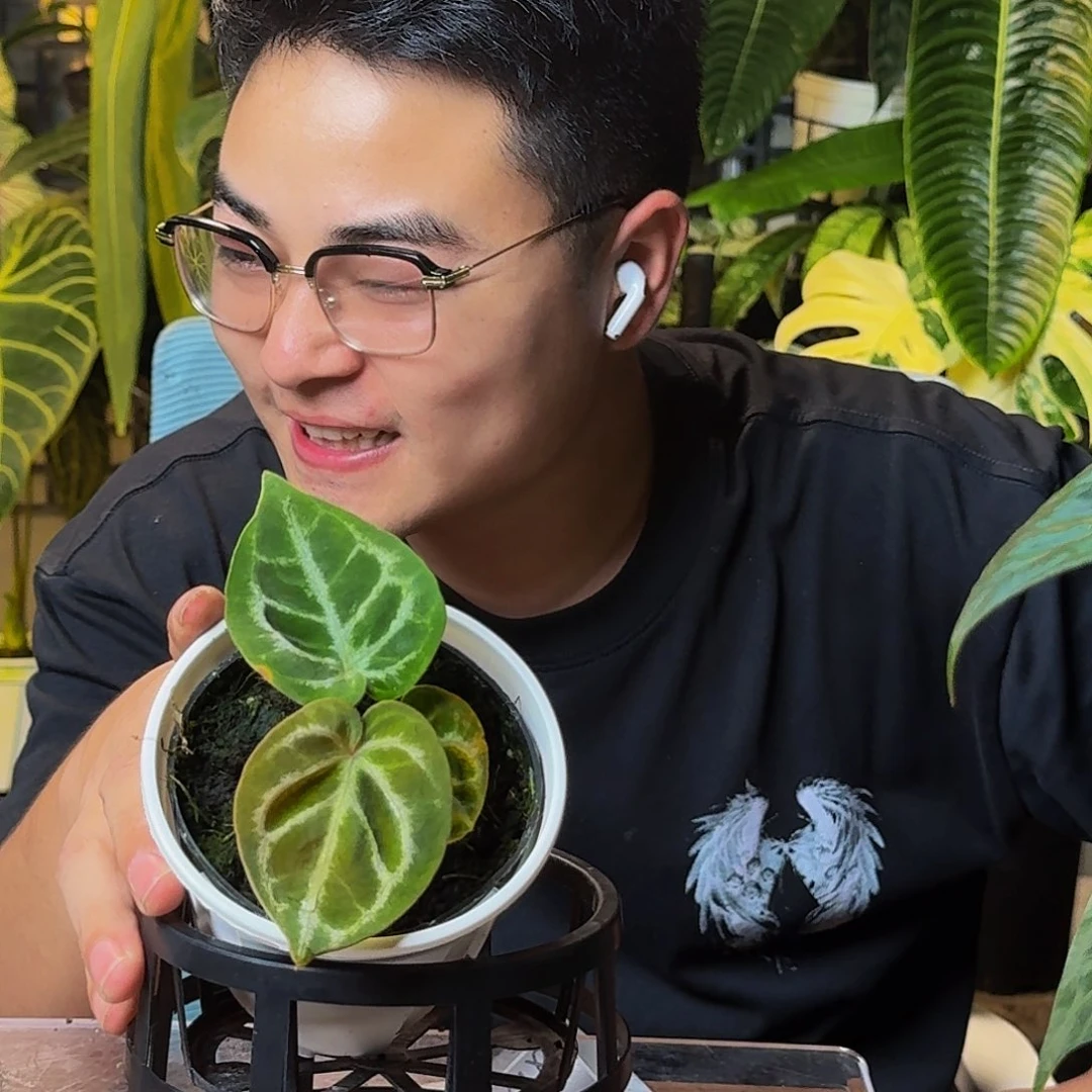 呀***哈完全开放一物一拍Q123