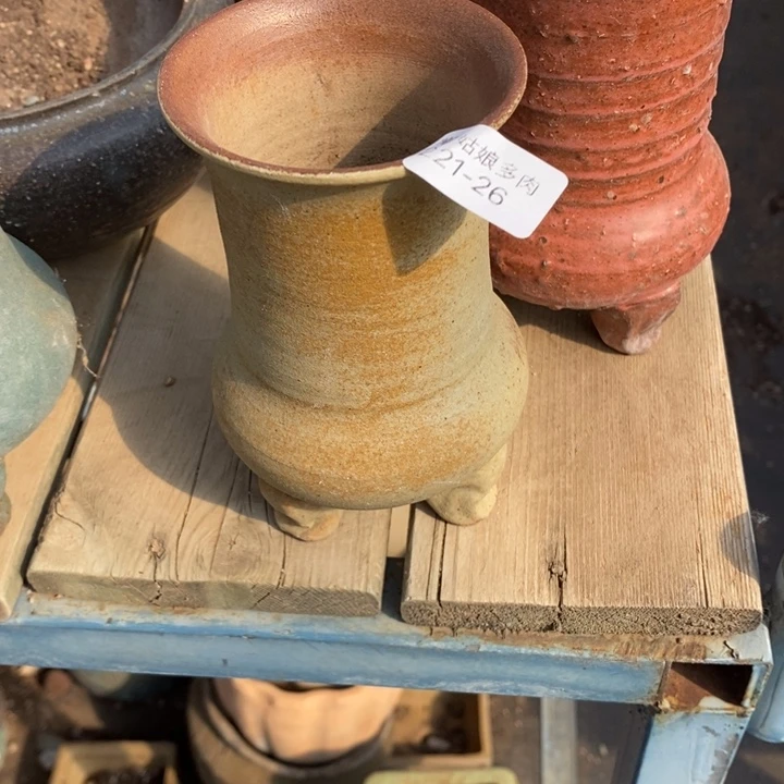 红陶一**…26号多肉盆一个呀