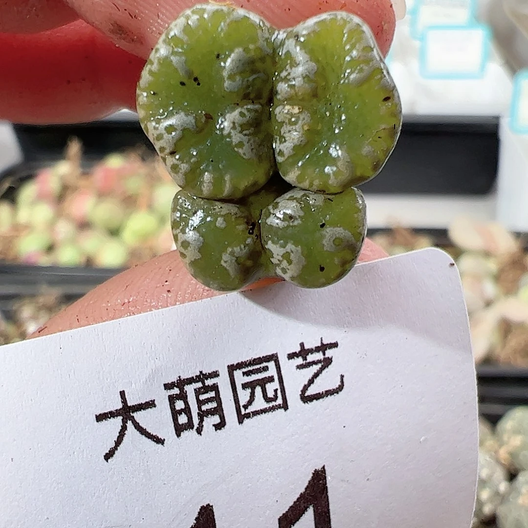 000011 一物一拍……