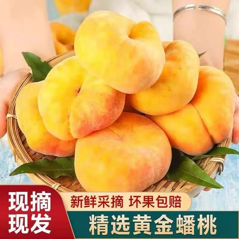 陕西黄金毛蟠桃4-4.5斤装新鲜应季毛蟠桃香甜多汁产地直采
