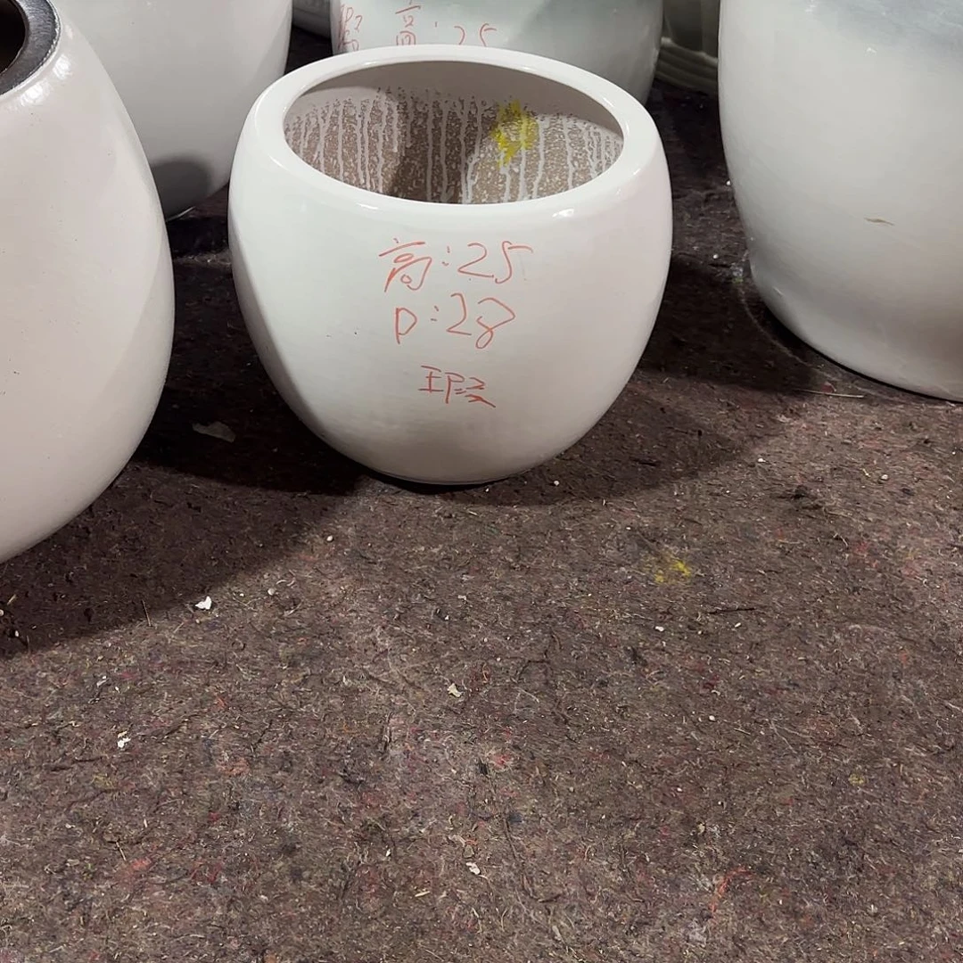 白色小球球一个花盆