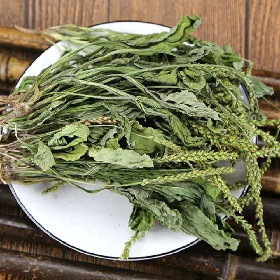 新鲜车前草 天然野生车轮菜 现摘现发整株带根500克食用纯净精选