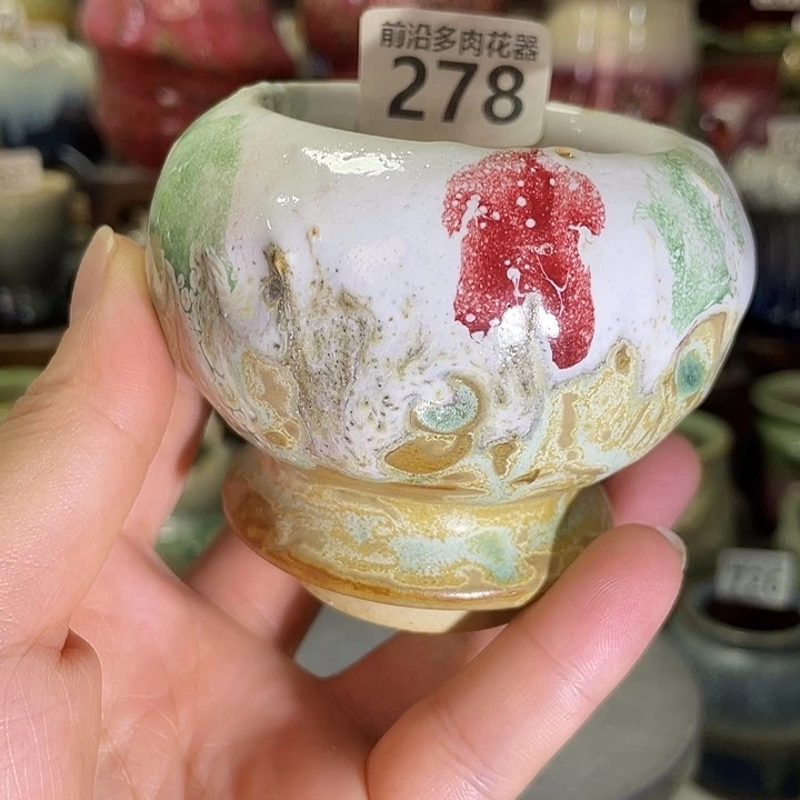 狼盆内口径5高度7