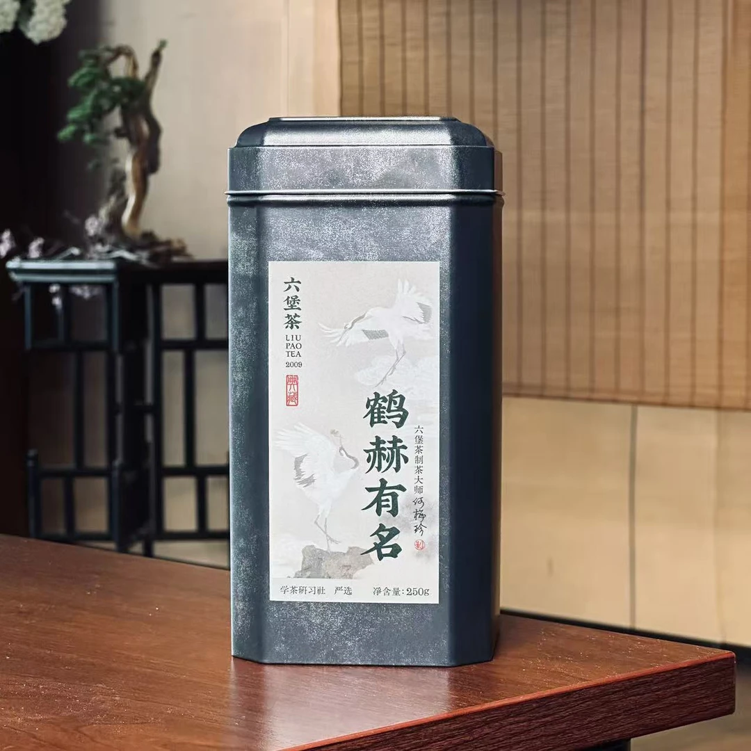 [学茶严选]鹤赫有名2009年-广西六堡茶