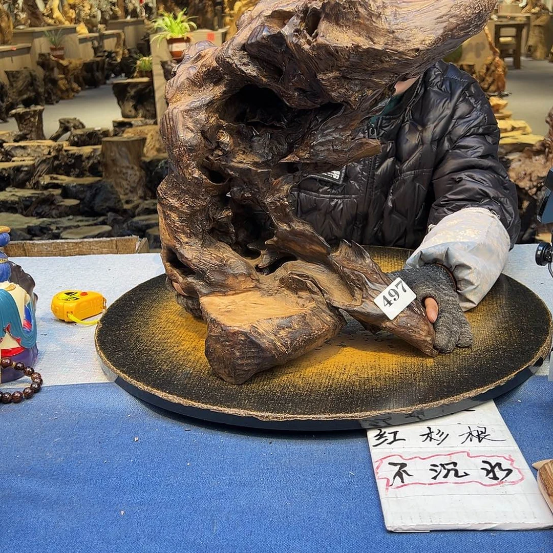 犍***帅木497cghjjgfdzxhhk