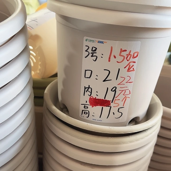 微瑕3#灰白10个无托