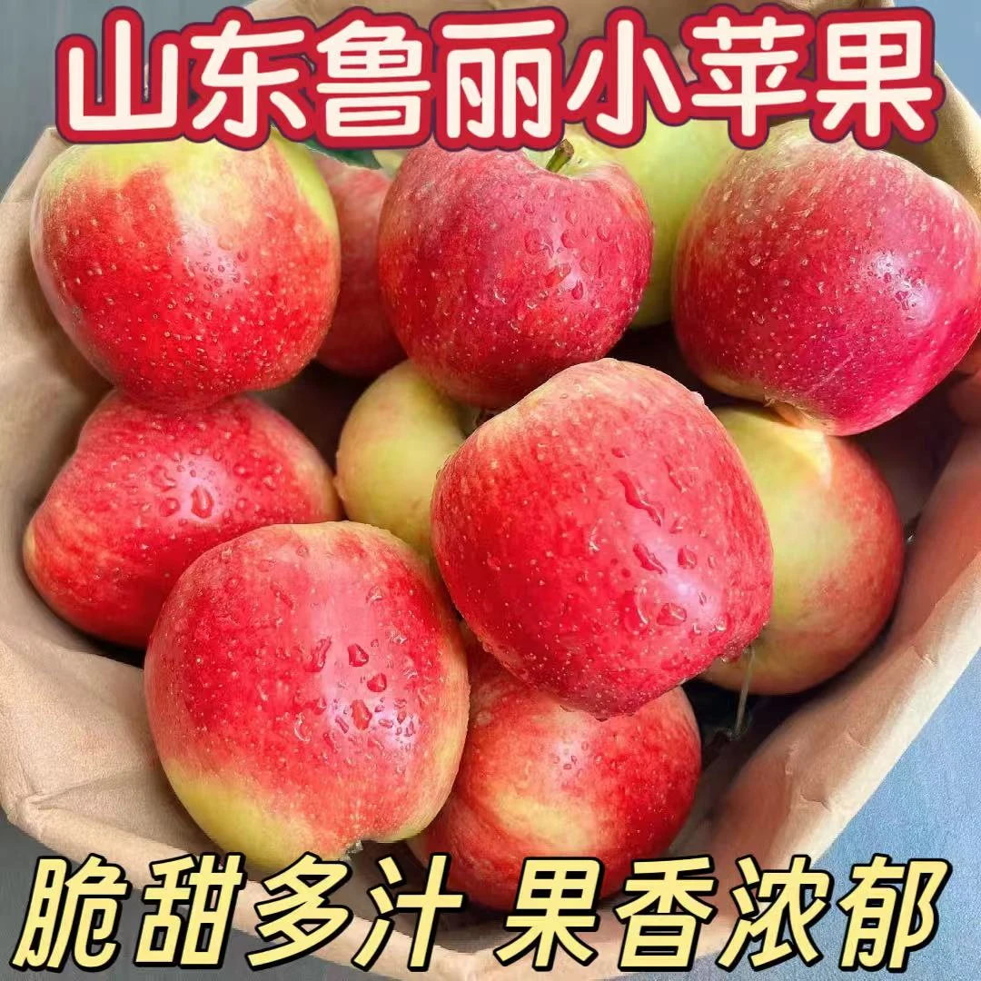 头茬新果山东鲁丽小苹果现摘现发应季水果酸甜