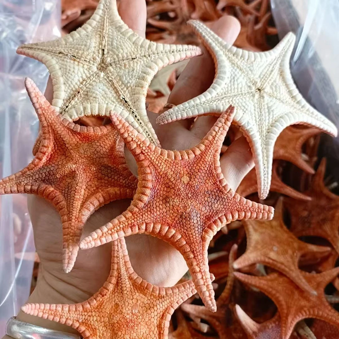 辰暁明精选海产干货