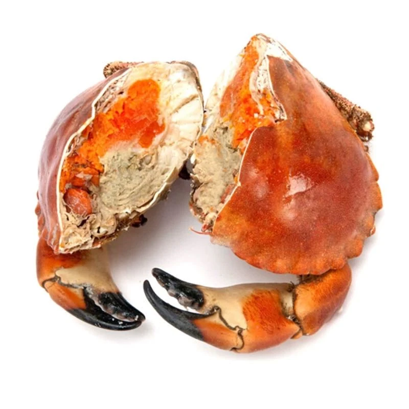 （非真空包装）  熟冻面包蟹 黄道蟹 黄金蟹  膏蟹