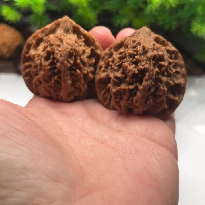 核桃文玩核桃满天星45