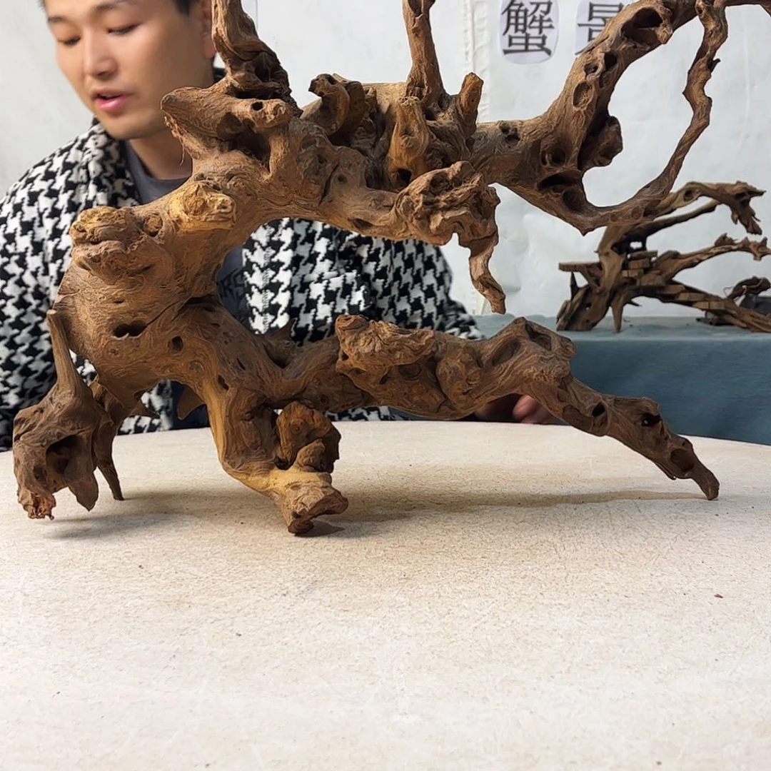 沉木造景爬宠造景