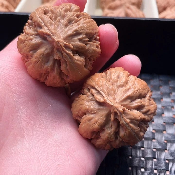 善***者霸王龙核桃尺寸40